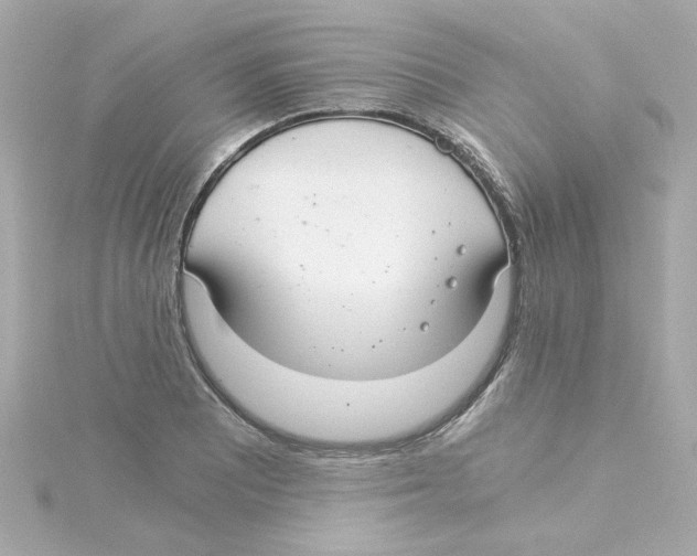 X0000115261081200911271921