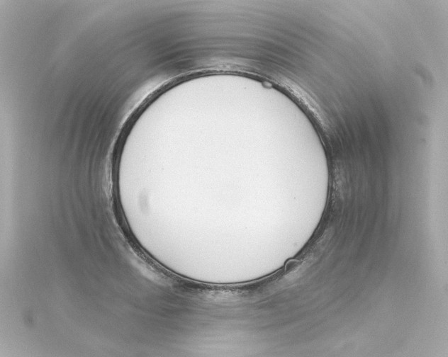 X0000115261082200911271921