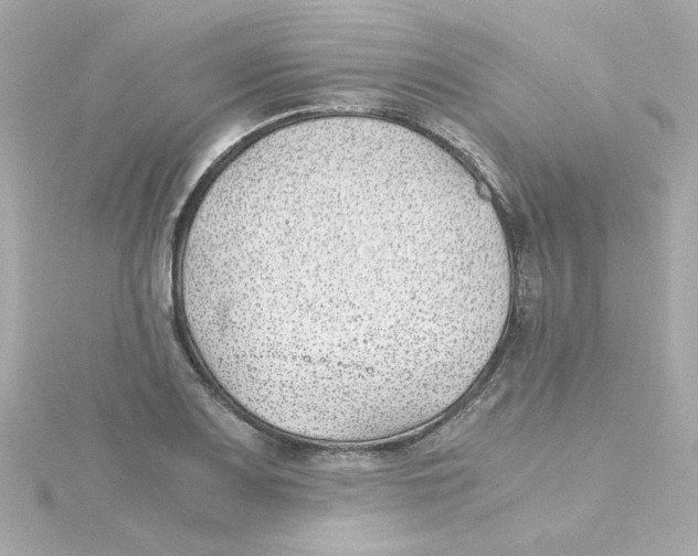 X0000115261083200911271921