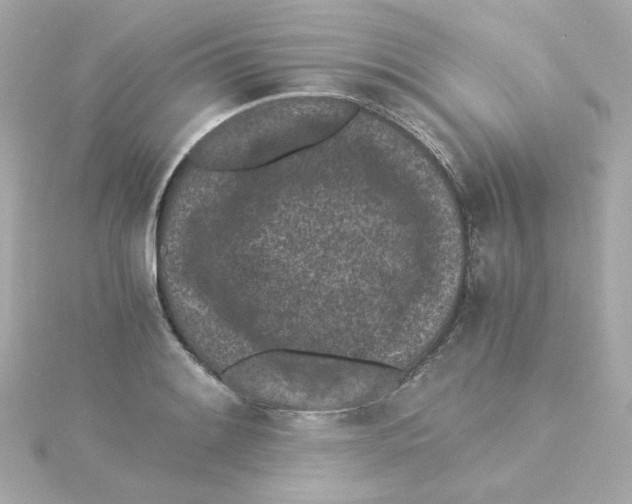 X0000115261084200911271921