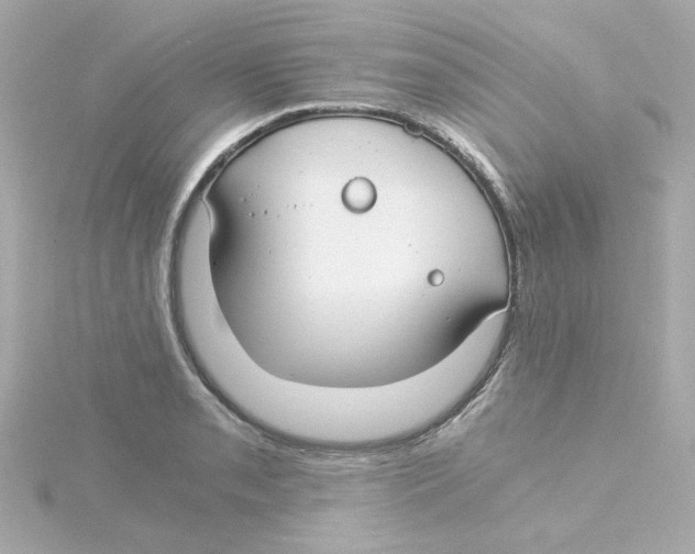 X0000115261085200911271921