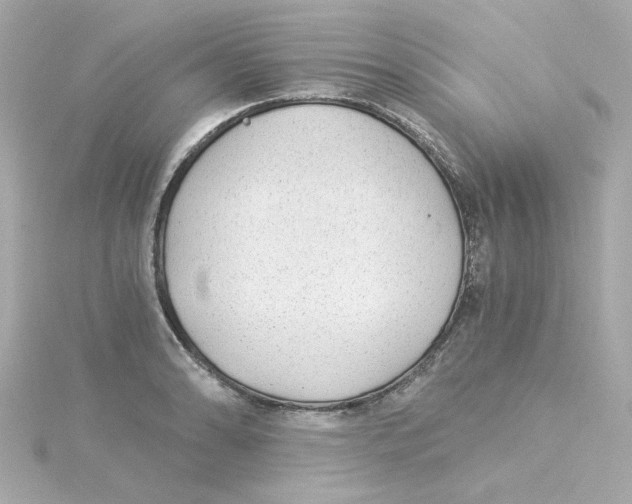 X0000115261086200911271921