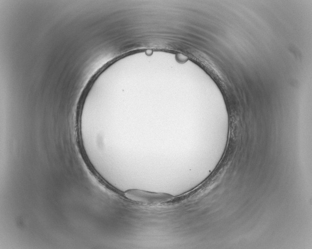 X0000115261087200911271921