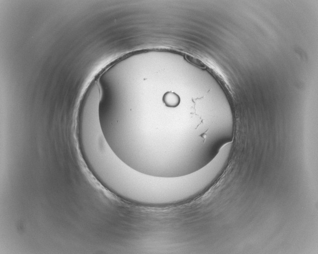 X0000115261088200911271921