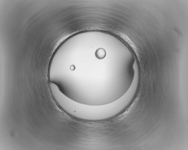 X0000115261089200911271921