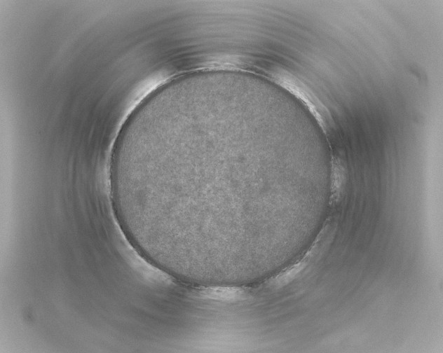 X0000115261090200911271921