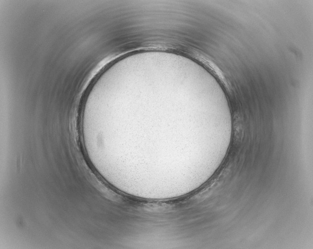 X0000115261091200911271921