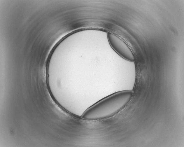 X0000115261092200911271921