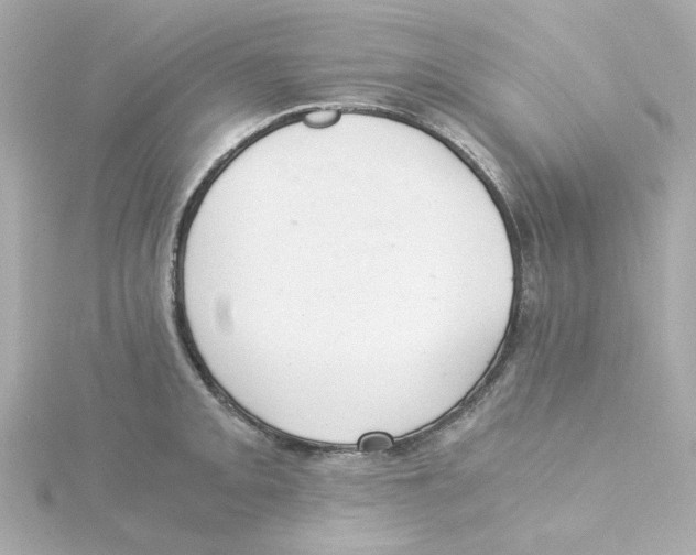 X0000115261093200911271921