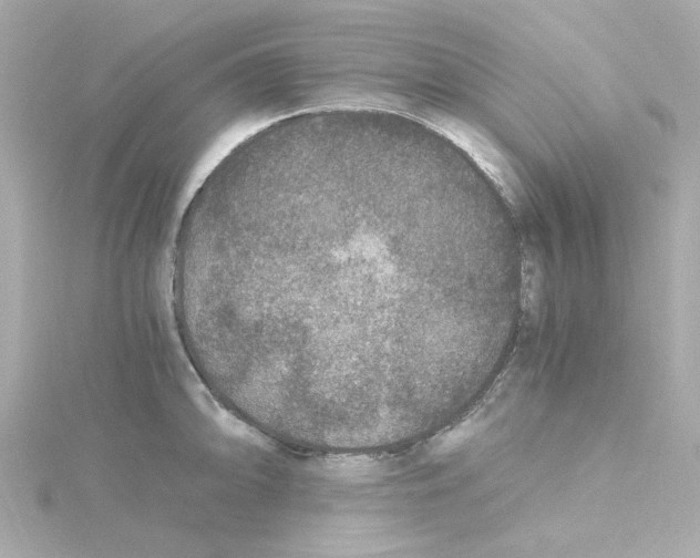 X0000115261094200911271920