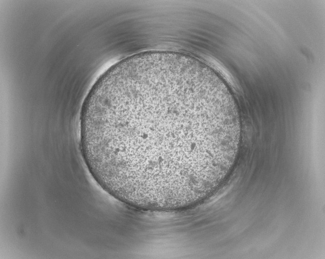 X0000115261095200911271920