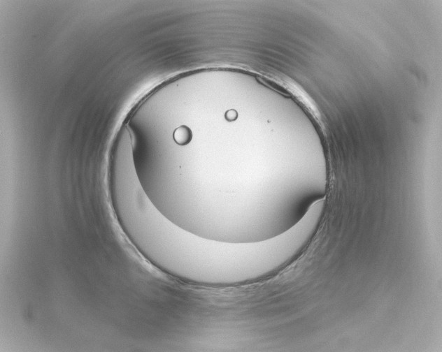 X0000115261096200911271920