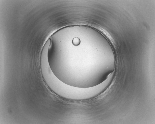 X0000115261097200911271920