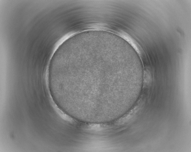 X0000115261098200911271920