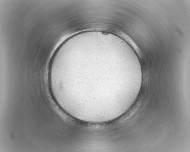 X0000115261099200911271920