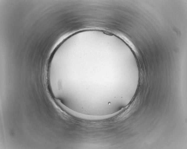 X0000115261101200911271920