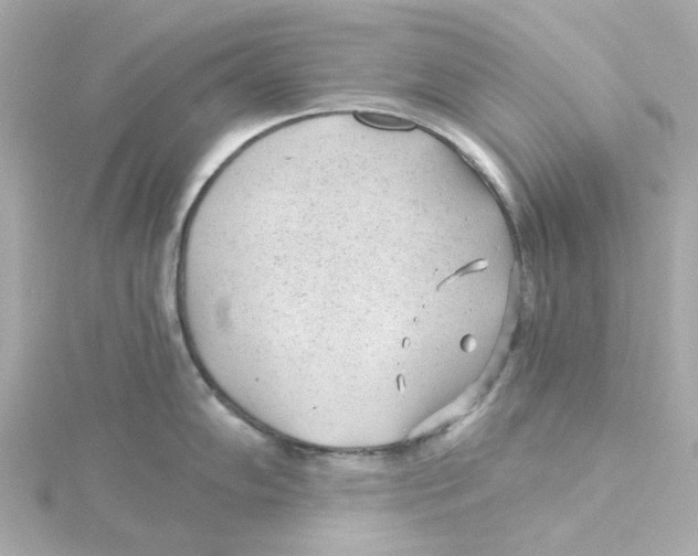 X0000115261102200911271920