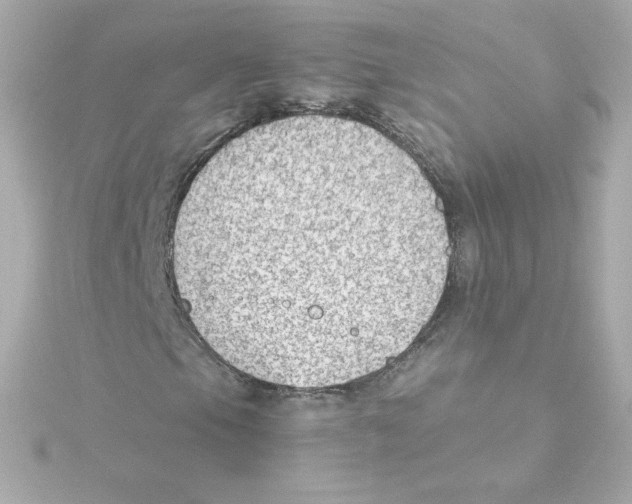 X0000115261105200911271920