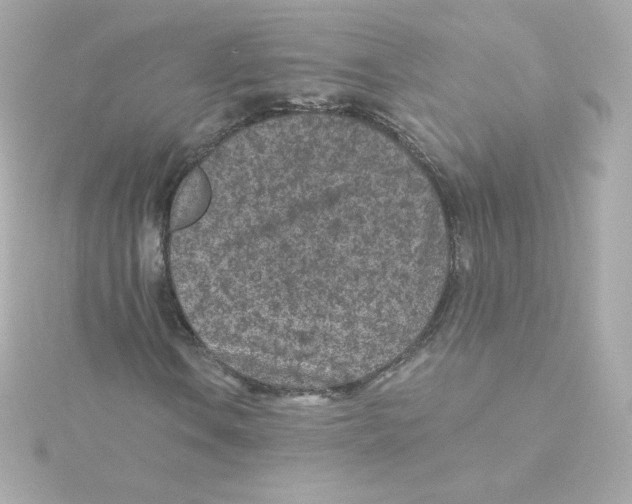 X0000115261106200911271920