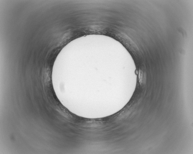 X0000115261107200911271920