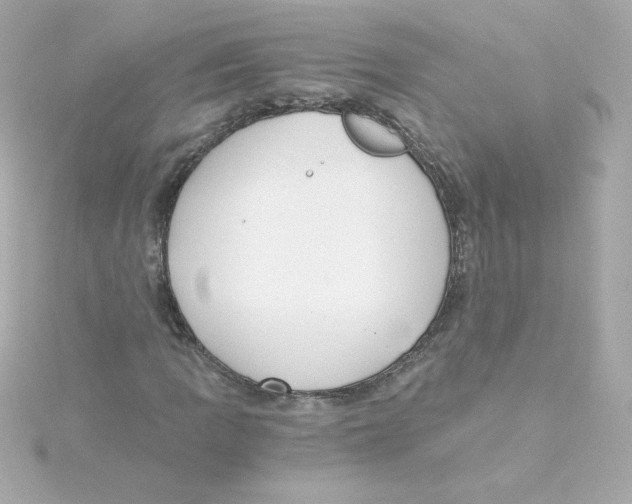 X0000115261109200911271920