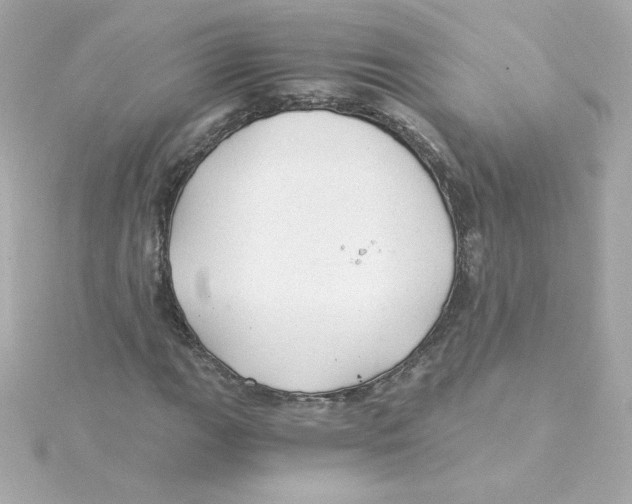 X0000115261111200911271920