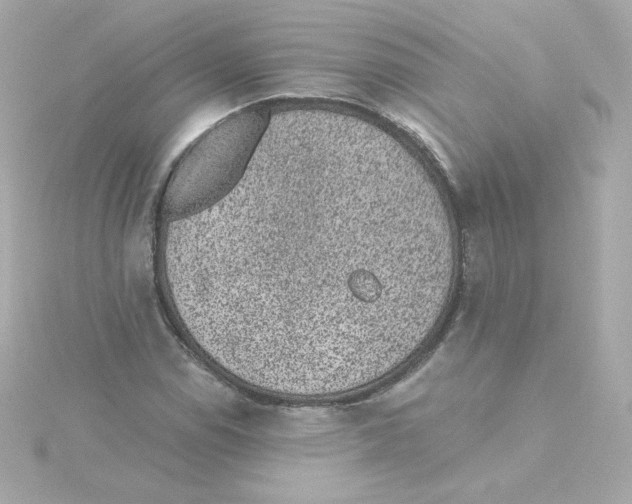 X0000115261114200911271920