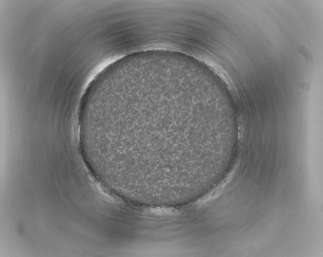 X0000115261117200911271920