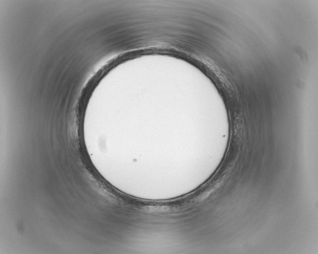 X0000115261118200911271920