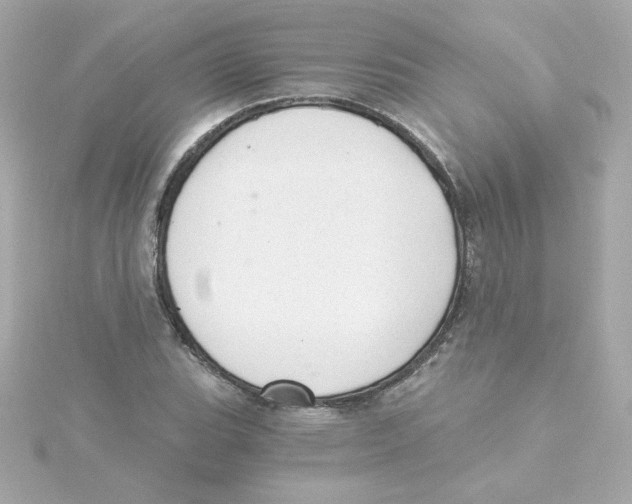 X0000115261119200911271920