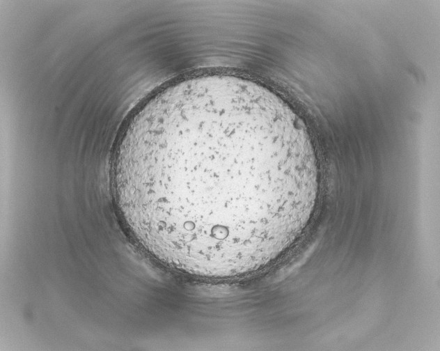 X0000115261121200911271920