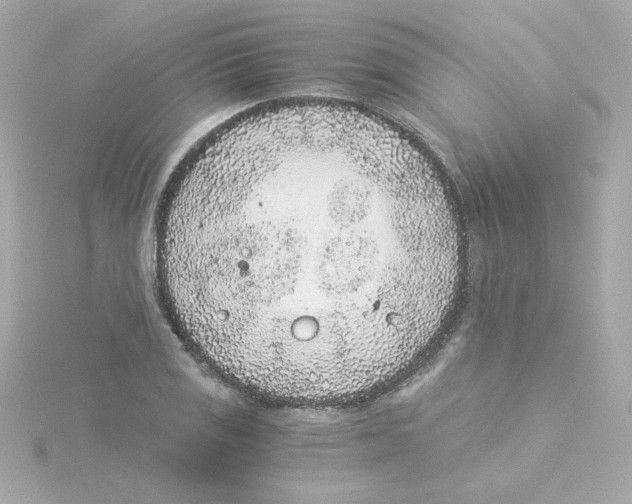 X0000115261125200911271920