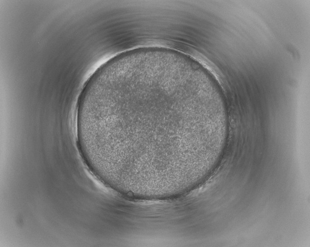 X0000115261127200911271920