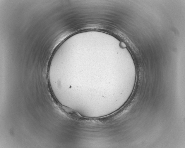 X0000115261129200911271920