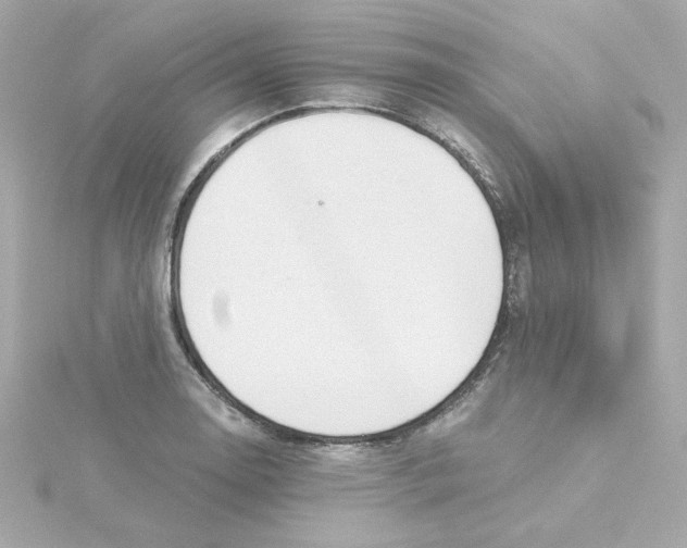 X0000115261130200911271920