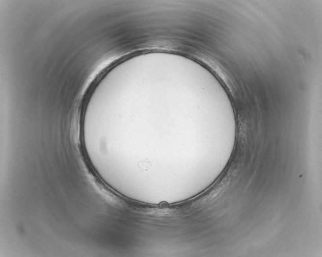 X0000115261131200911271920