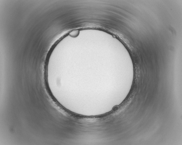 X0000115261134200911271920