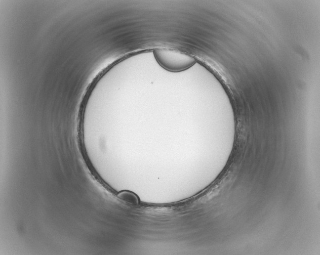 X0000115261135200911271920