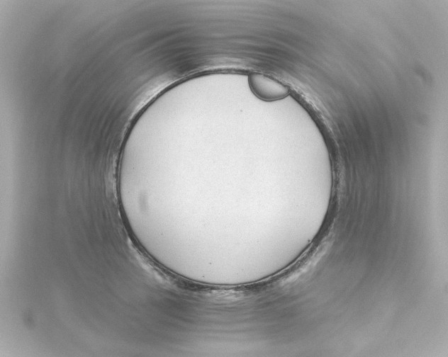 X0000115261137200911271920