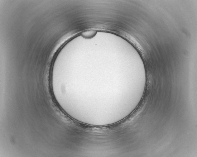 X0000115261138200911271920