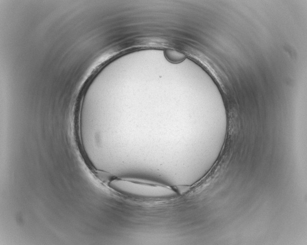 X0000115261139200911271920