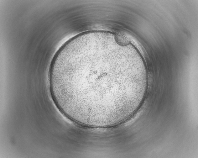 X0000115261141200911271920