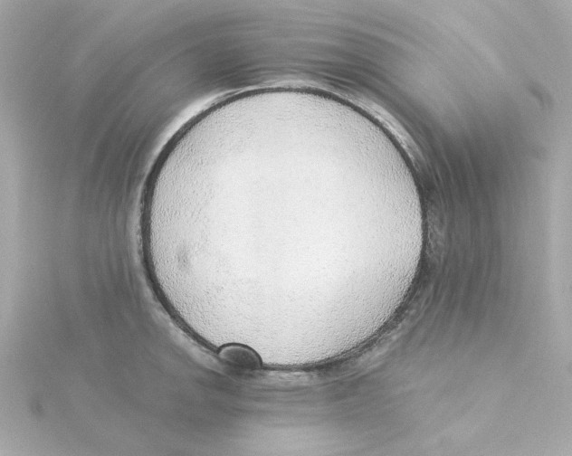 X0000115261142200911271920