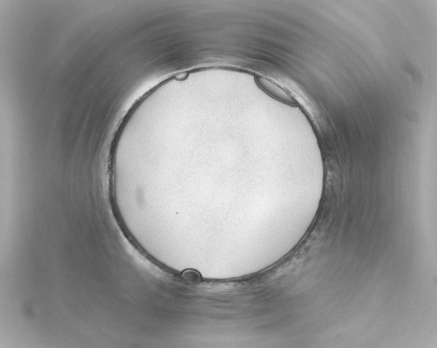 X0000115261143200911271920