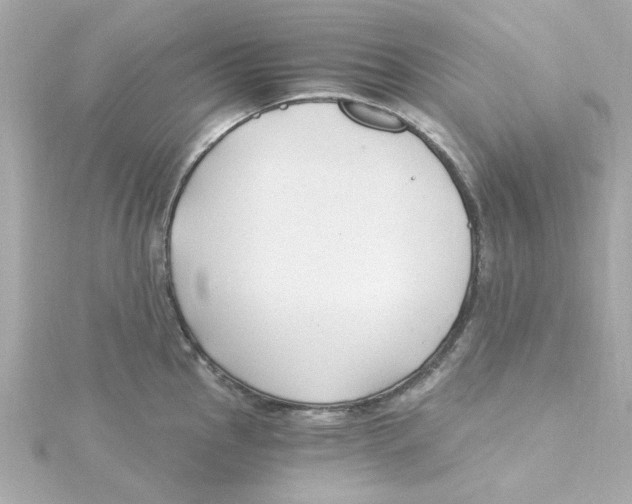 X0000115261145200911271920