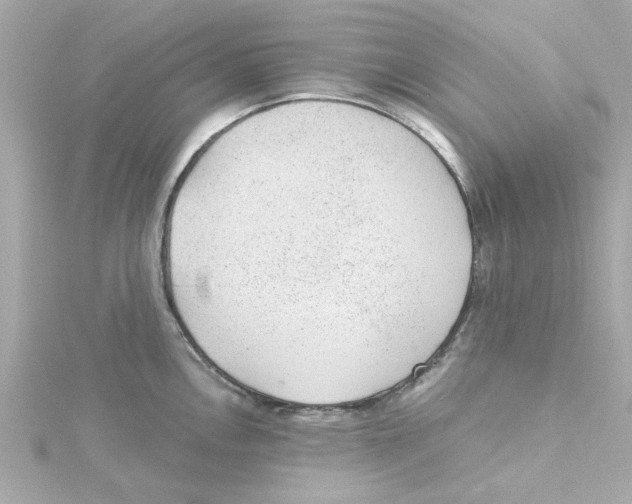 X0000115261146200911271920