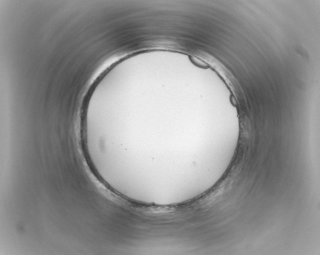 X0000115261147200911271920