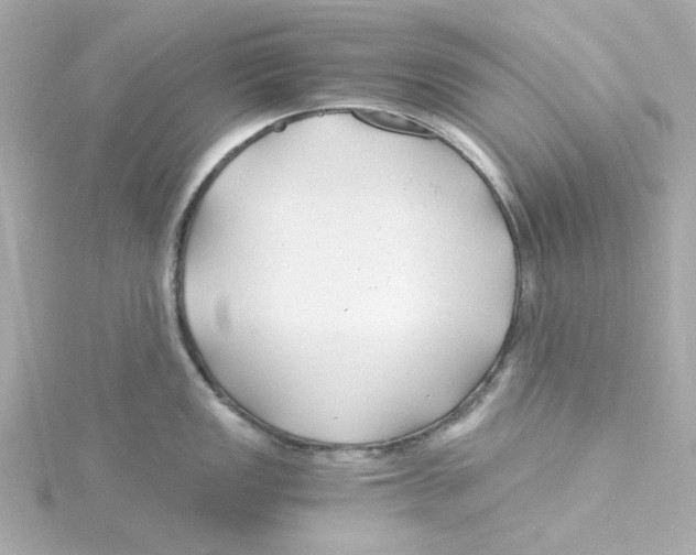 X0000115261149200911271920