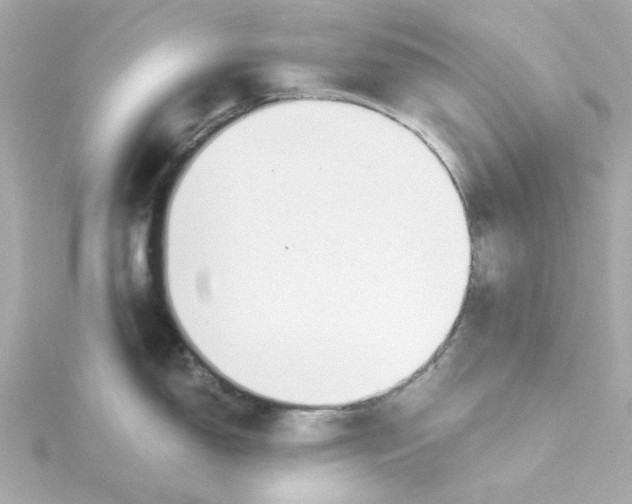 X0000115261150200911271920