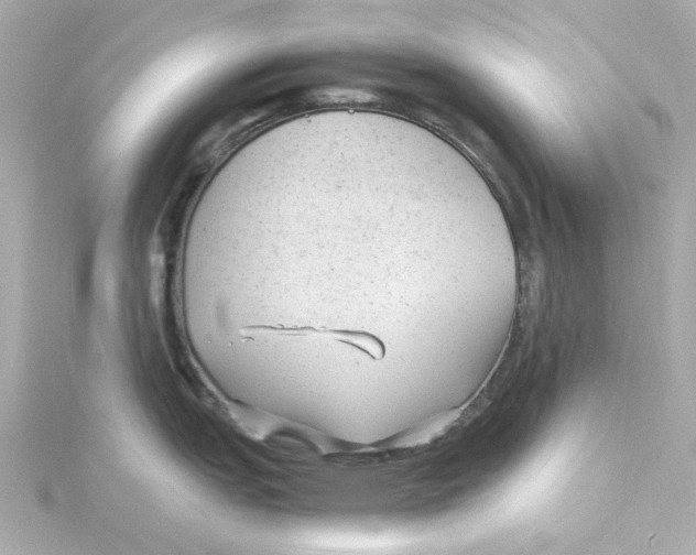 X0000115261151200911271920